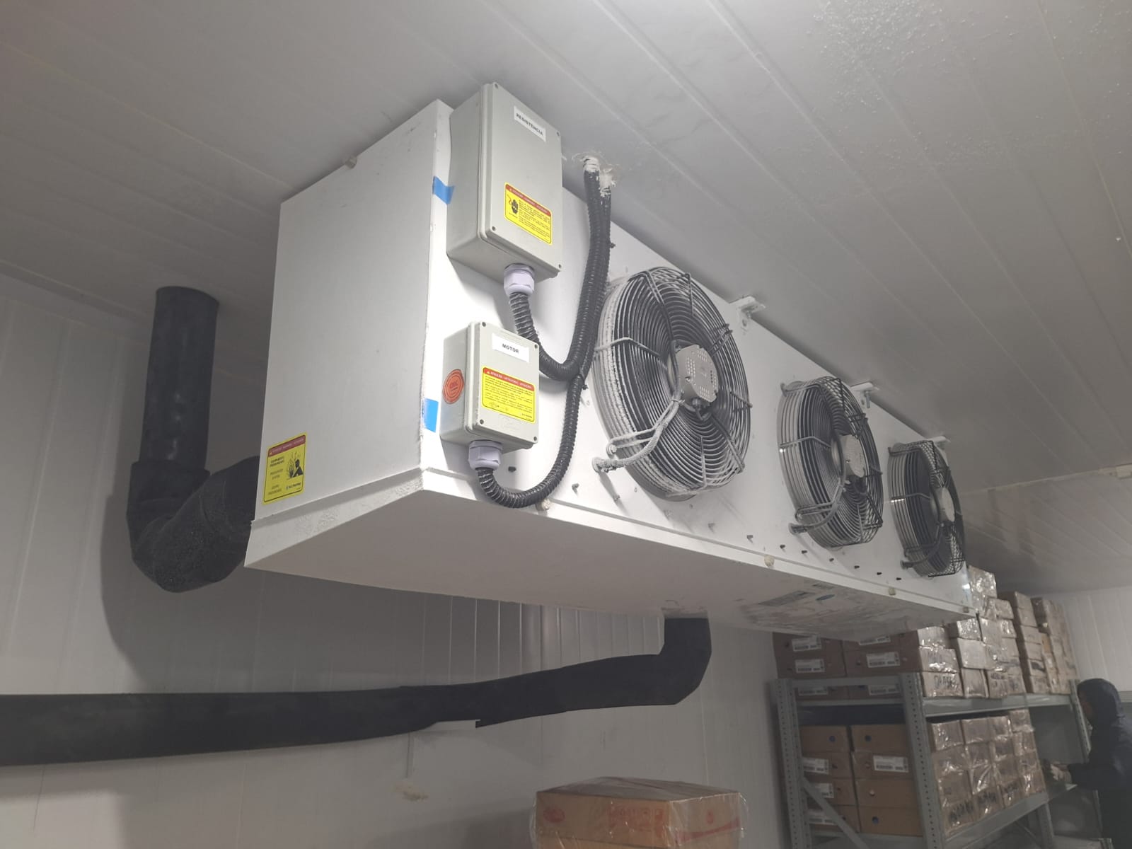 Câmara de congelados